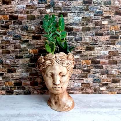 Afrodit Teraryum