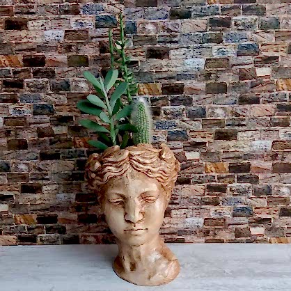 Afrodit Teraryum 2