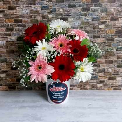 Öğretmenler Temalı Renkli Gerbera