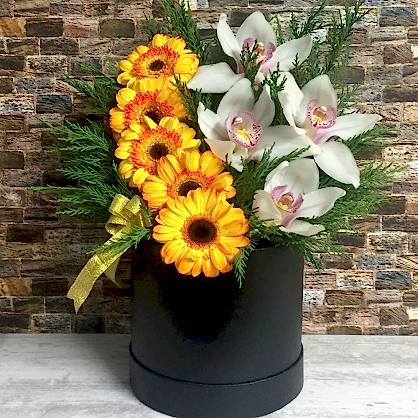 Kutuda Gerbera ve Orkide