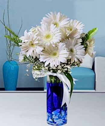 Beyaz Gerbera Çiçekleri