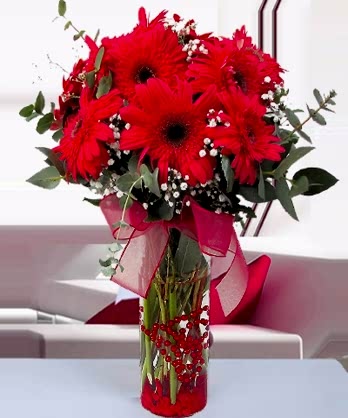 Silindir Vazo Kırmızı Gerbera