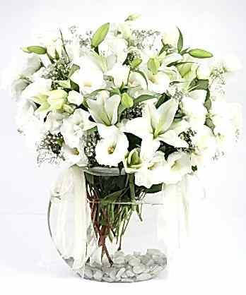 Beyaz Prenses