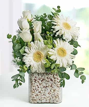 Asetat Vazo Gerbera Güller