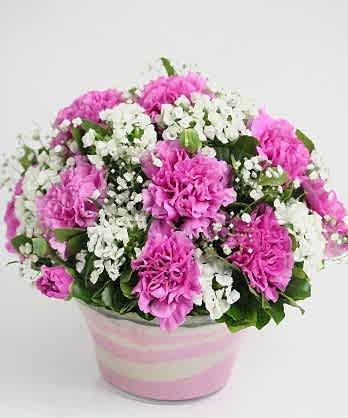 Pembe Beyaz Şirin Kase